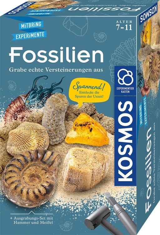 Produktbild: Fossilien