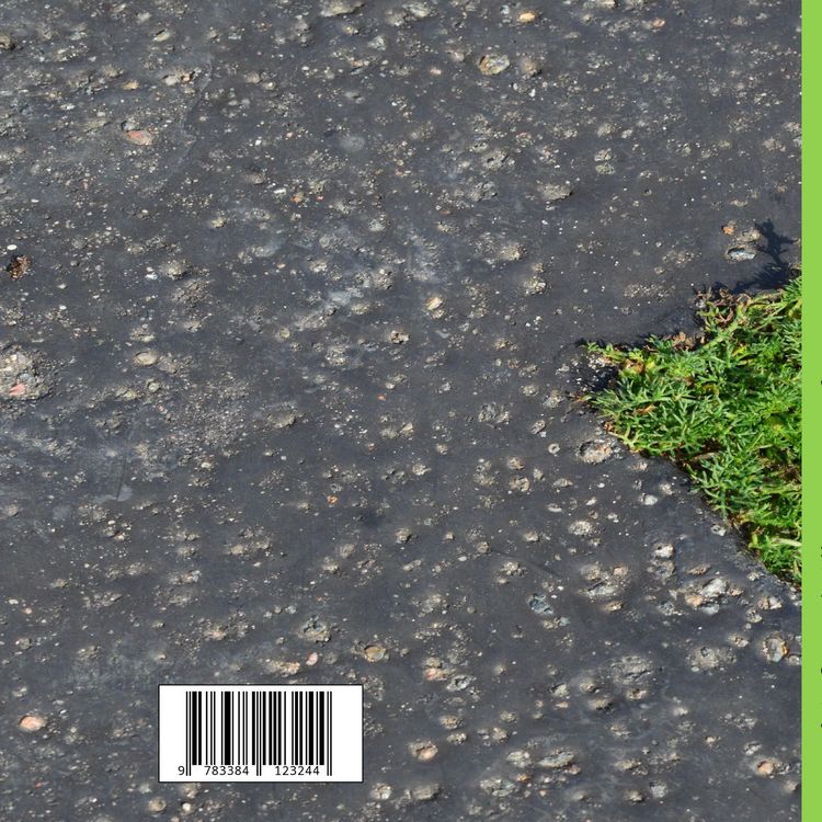 Produktbild: Mit Haiku durch das Jahr