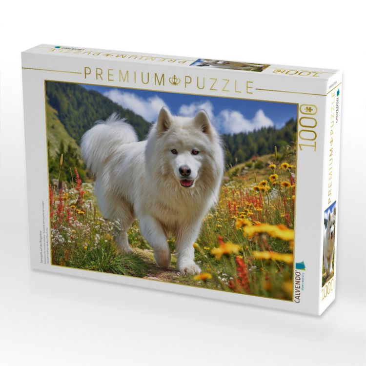 Produktbild: CALVENDO Puzzle Samojede auf der Bergwiese | 1000 Teile Lege-Gr&ouml;&szlig;e 64x48cm Foto-Puzzle f&uuml;r gl&uuml;ckliche Stunden