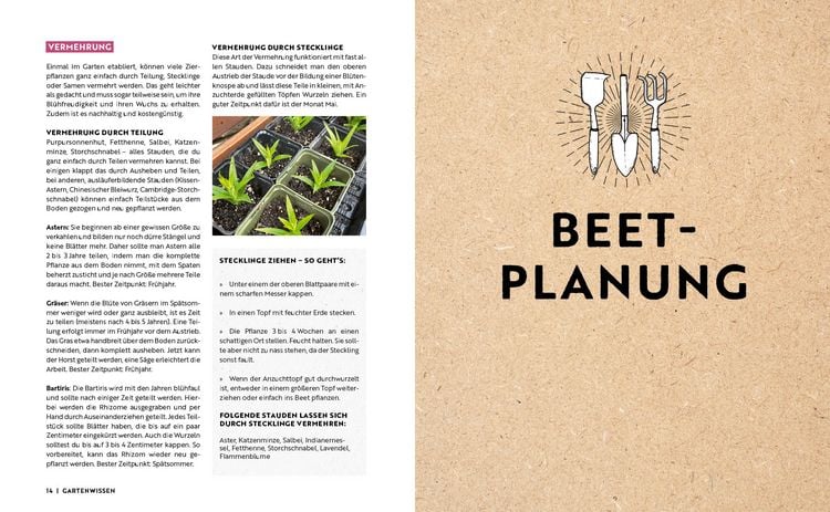Produktbild: Gartenmomente: Blumen im Garten