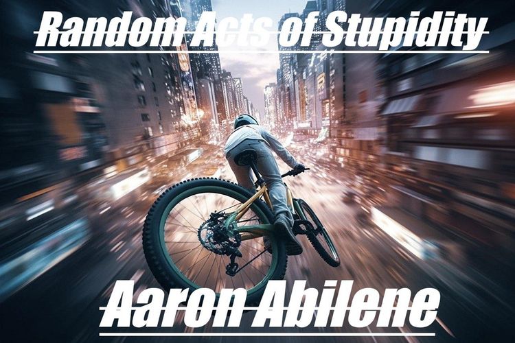 Produktbild: Random Acts of Stupidity