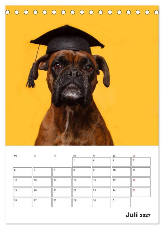 Produktbild: colorful world of boxer 2027 (Tischkalender 2027 DIN A5 hoch), CALVENDO Monatskalender