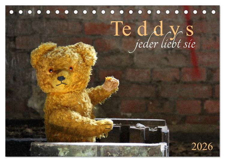 Produktbild: Teddys...jeder liebt sie (Tischkalender 2026 DIN A5 quer), CALVENDO Monatskalender