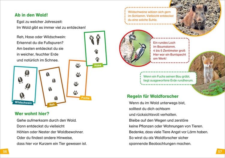 Produktbild: WAS IST WAS Erstes Lesen Band 6. Wald