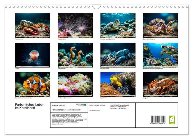 Produktbild: Farbenfrohes Leben im Korallenriff (Wandkalender 2026 DIN A3 quer), CALVENDO Monatskalender