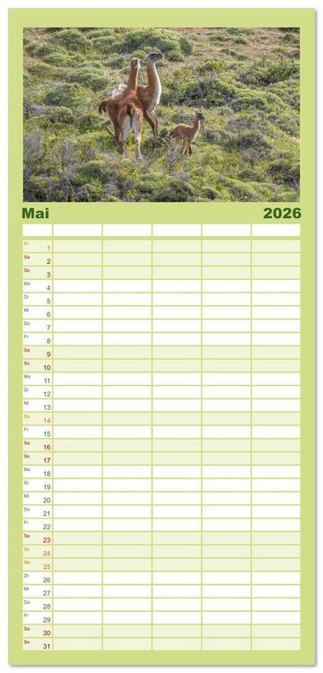 Produktbild: Familienplaner 2026 - Wildlife S&uuml;damerika mit 5 Spalten (Wandkalender, 21 x 45 cm) CALVENDO