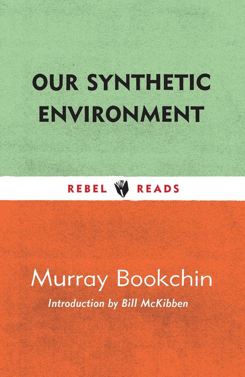 Produktbild: Our Synthetic Environment