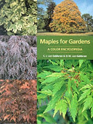 Produktbild: Maples for Gardens