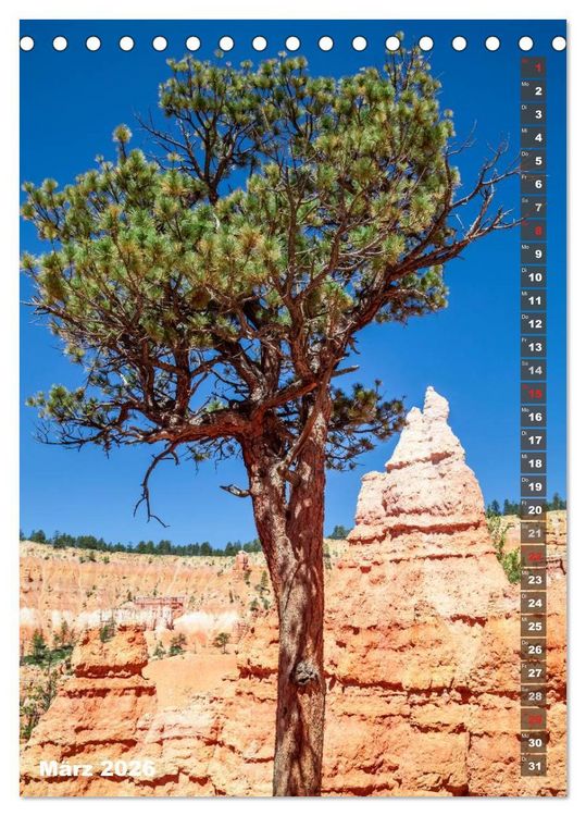 Produktbild: BRYCE CANYON Natur Pur (Tischkalender 2026 DIN A5 hoch), CALVENDO Monatskalender