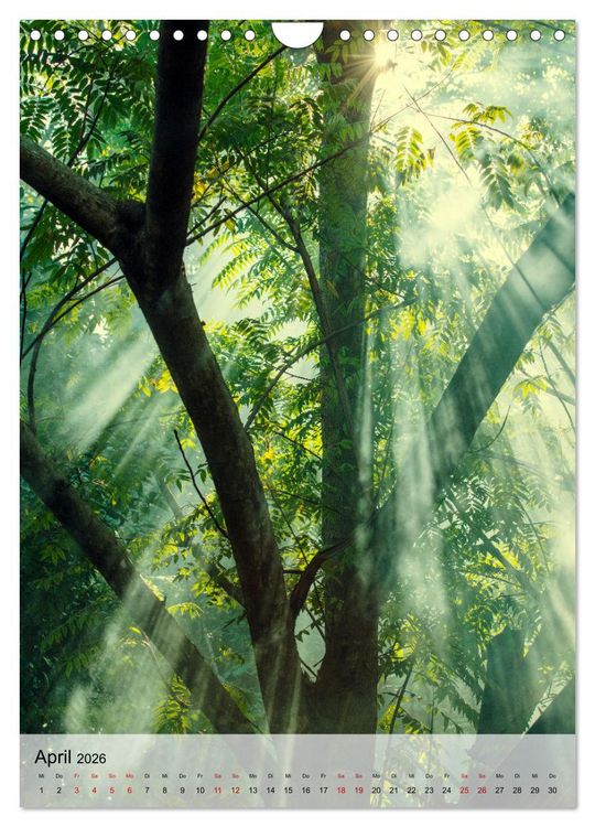 Produktbild: MADAGASKAR: Baobabs, Lemuren, Naturwunder (Wandkalender 2026 DIN A4 hoch), CALVENDO Monatskalender
