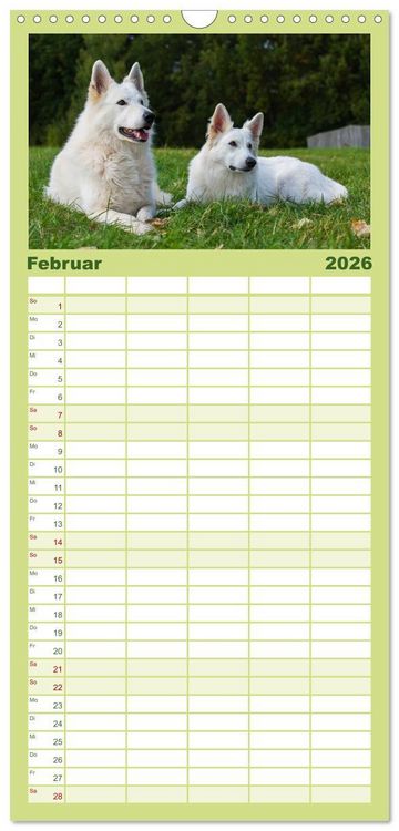 Produktbild: Familienplaner 2026 - Wei&szlig;er Schweizer Sch&auml;ferhund - Ein Tag im Leben einer Hundefamilie mit 5 Spalten (Wandkalender, 21 x 45 cm) CALVENDO