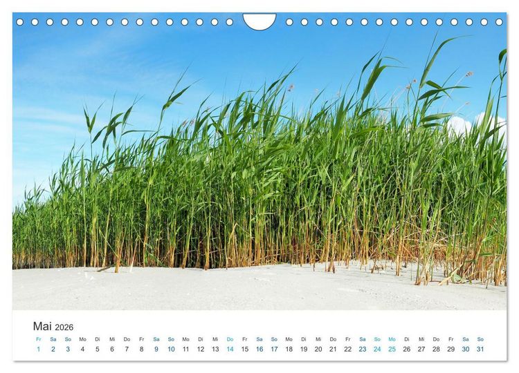 Produktbild: Deutsche K&uuml;ste - Nordsee und Ostsee (Wandkalender 2026 DIN A4 quer), CALVENDO Monatskalender