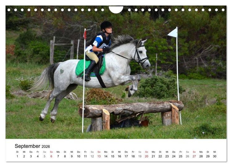 Produktbild: Eventing - Der ultimative Reitsport (Wandkalender 2026 DIN A4 quer), CALVENDO Monatskalender