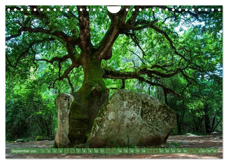 Produktbild: Korsika &ndash; die Perle im Mittelmeer (Wandkalender 2026 DIN A4 quer), CALVENDO Monatskalender