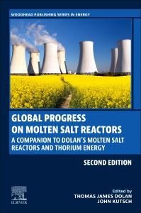 Produktbild: Global Progress on Molten Salt Reactors