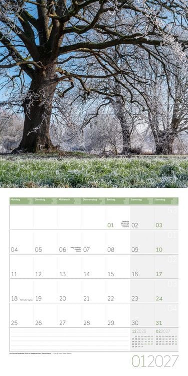 Produktbild: B&auml;ume Kalender 2027 - 30x30 - Art12