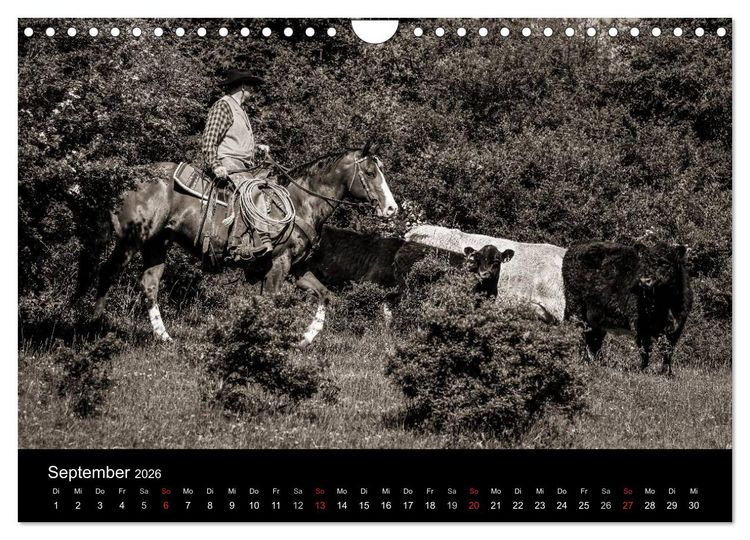 Produktbild: Westernreiten (Wandkalender 2026 DIN A4 quer), CALVENDO Monatskalender