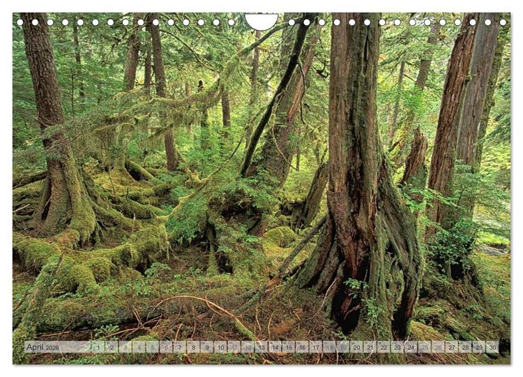 Produktbild: KANADA Christian Heeb (Wandkalender 2026 DIN A4 quer), CALVENDO Monatskalender