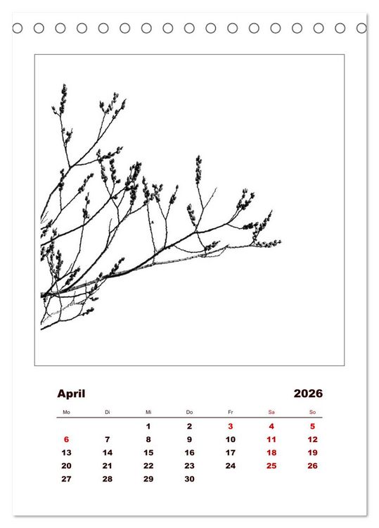 Produktbild: LignoGrafica - Muster und Strukturen der B&auml;ume (Tischkalender 2026 DIN A5 hoch), CALVENDO Monatskalender