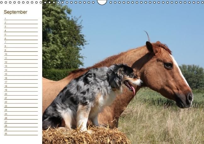 Produktbild: Der Pferde-Geburtstagskalender (Wandkalender immerw&auml;hrend DIN A3 quer)