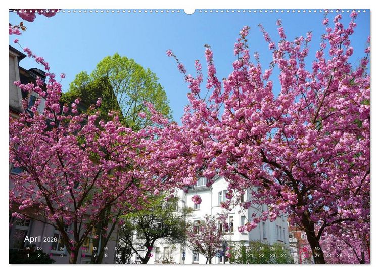 Produktbild: Marburg 2026 (hochwertiger Premium Wandkalender 2026 DIN A2 quer), Kunstdruck in Hochglanz