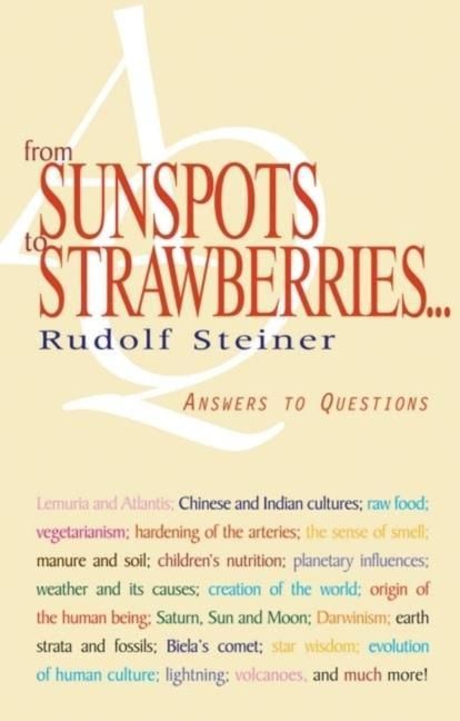 Produktbild: From Sunspots to Strawberries . . .