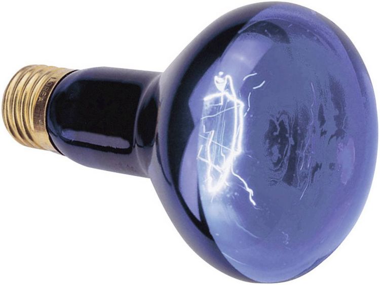 Produktbild: Omnilux R80 230V UV-Lampe E27 75 W