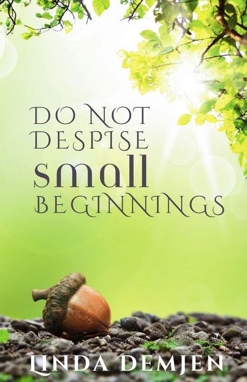 Produktbild: Do Not Despise Small Beginnings