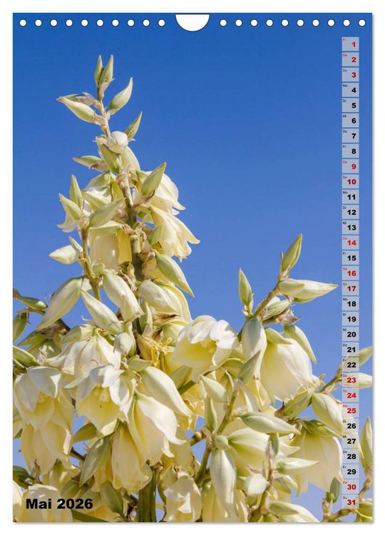 Produktbild: WHITE SANDS NATIONAL MONUMENT W&uuml;stenimpressionen (Wandkalender 2026 DIN A4 hoch), CALVENDO Monatskalender