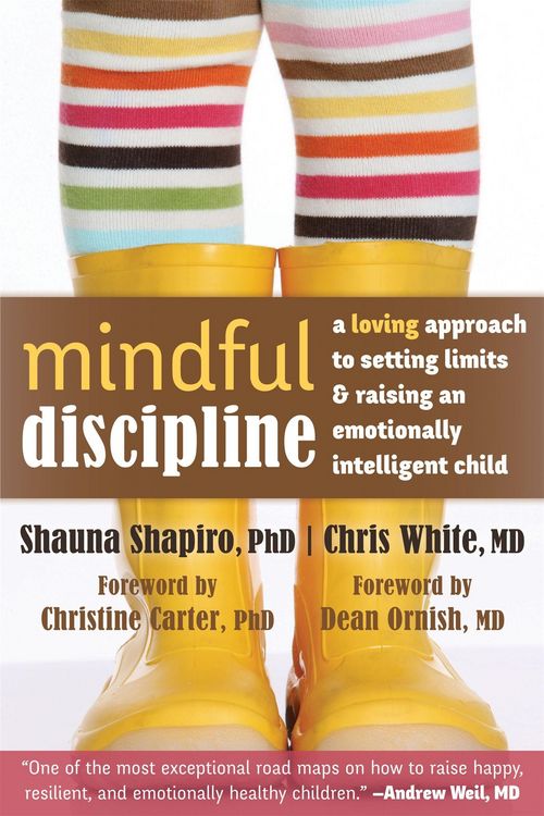 Produktbild: Mindful Discipline