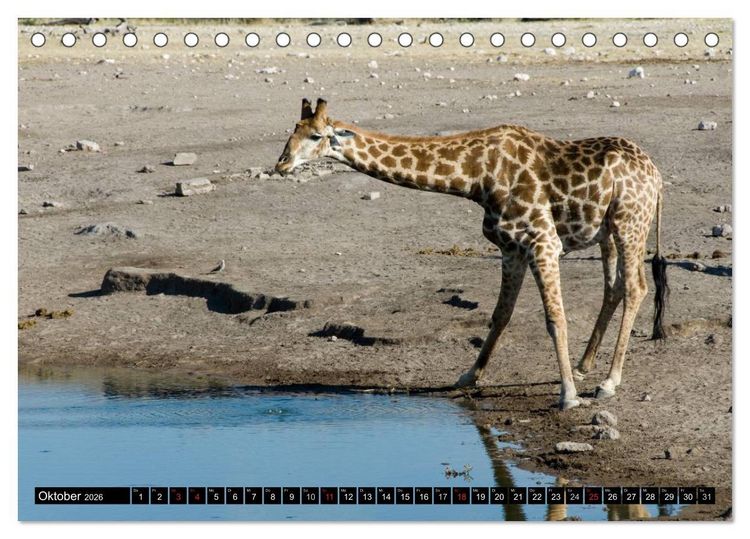 Produktbild: Faszination Namibia (Tischkalender 2026 DIN A5 quer), CALVENDO Monatskalender