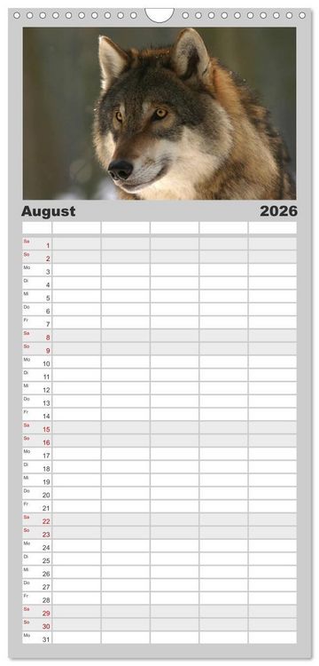 Produktbild: Familienplaner 2026 - W&ouml;lfe. Graue Eminenzen mit 5 Spalten (Wandkalender, 21 x 45 cm) CALVENDO