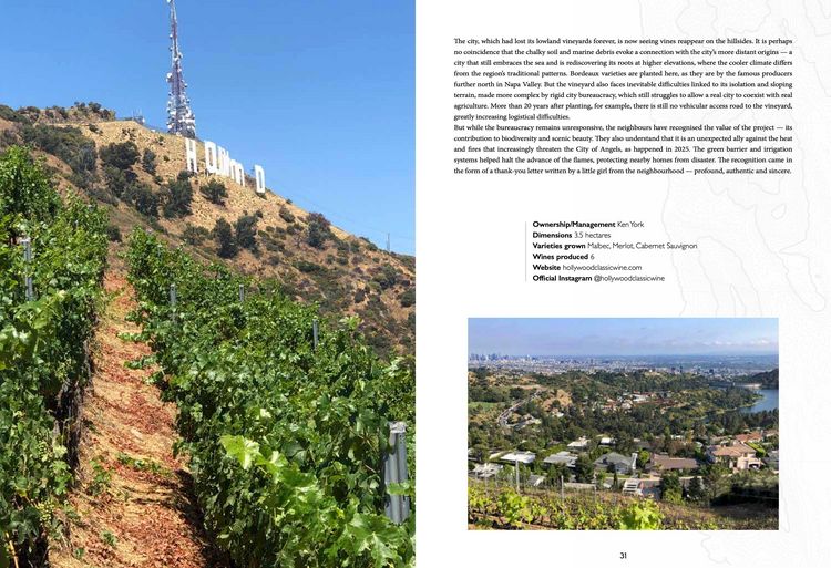 Produktbild: Atlas of urban vineyards
