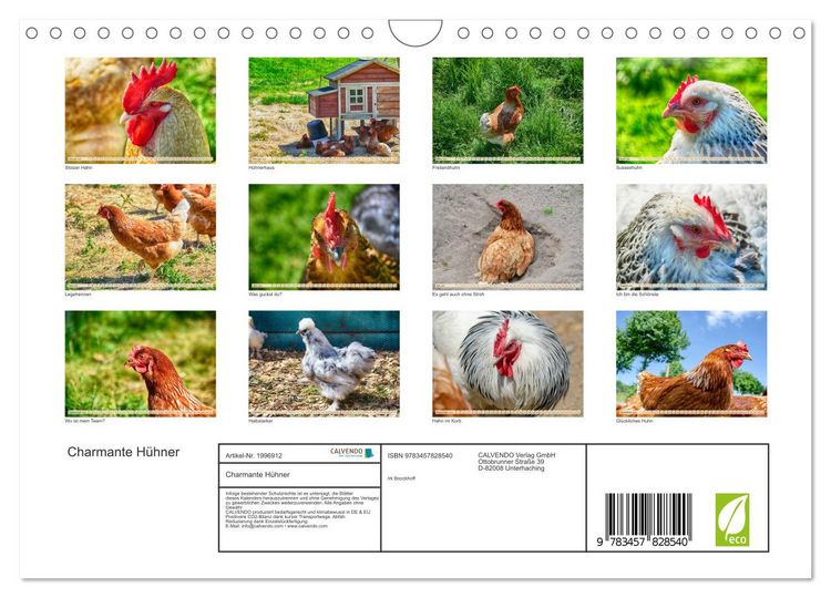 Produktbild: Charmante H&uuml;hner (Wandkalender 2026 DIN A4 quer), CALVENDO Monatskalender