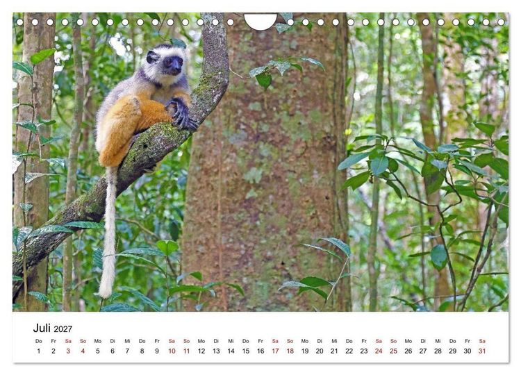 Produktbild: Blickpunkte auf Madagaskar (Wandkalender 2027 DIN A4 quer), CALVENDO Monatskalender