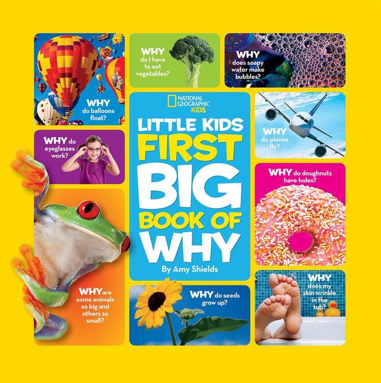 Produktbild: National Geographic Little Kids First Big Book of Why