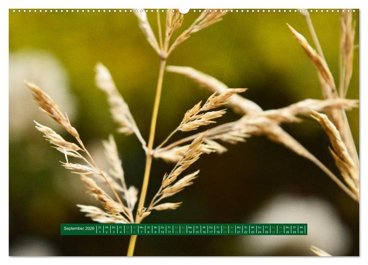 Produktbild: Unterwegs im Deister (hochwertiger Premium Wandkalender 2026 DIN A2 quer), Kunstdruck in Hochglanz