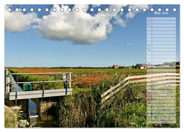 Produktbild: Ein Sommer auf Texel (Tischkalender 2026 DIN A5 quer), CALVENDO Monatskalender