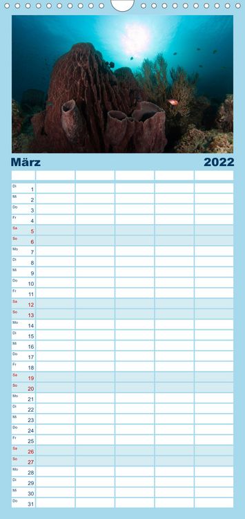 Produktbild: Tauchen, Fische und Meer - Familienplaner hoch (Wandkalender 2022 , 21 cm x 45 cm, hoch)
