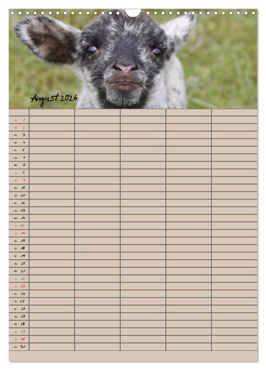 Produktbild: Der bel&auml;mmerte Familienplaner (Wandkalender 2026 DIN A3 hoch), CALVENDO Monatskalender