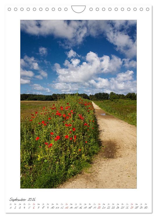 Produktbild: Insel Amrum (Wandkalender 2026 DIN A4 hoch), CALVENDO Monatskalender