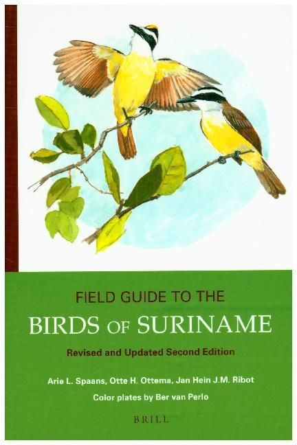 Produktbild: Field Guide to the Birds of Suriname