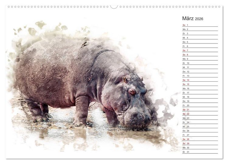 Produktbild: Tierportraits - Fine Art (hochwertiger Premium Wandkalender 2026 DIN A2 quer), Kunstdruck in Hochglanz