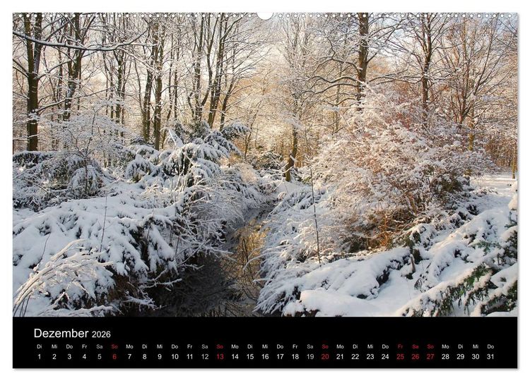 Produktbild: Die vier Jahreszeiten (hochwertiger Premium Wandkalender 2026 DIN A2 quer), Kunstdruck in Hochglanz