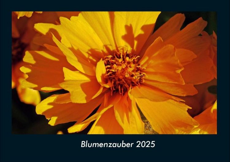 Produktbild: Blumenzauber 2025 Fotokalender DIN A4