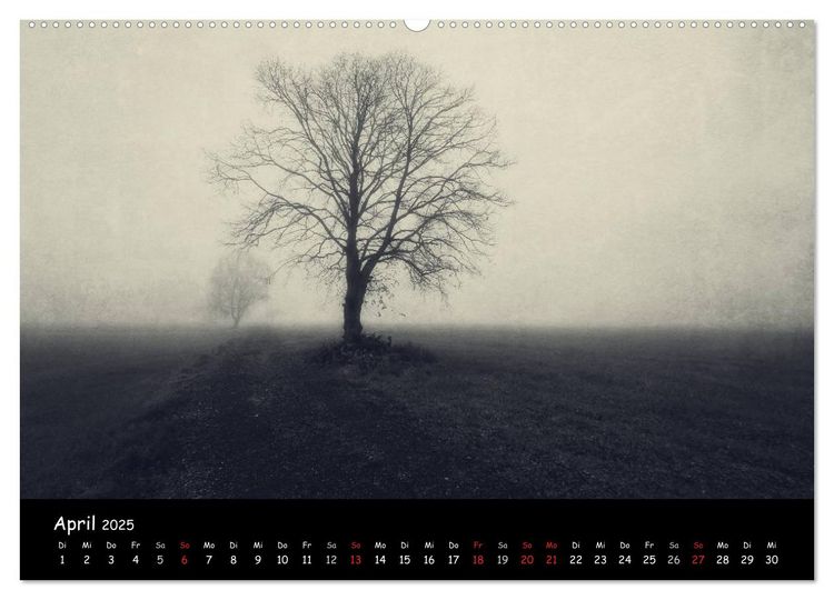 Produktbild: Bei uns im L&auml;ndle - Vorarlberg 2025 (Wandkalender 2025 DIN A2 quer), CALVENDO Monatskalender