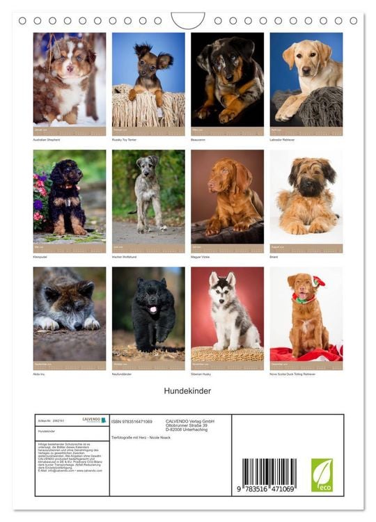 Produktbild: Hundekinder (Wandkalender 2026 DIN A4 hoch), CALVENDO Monatskalender