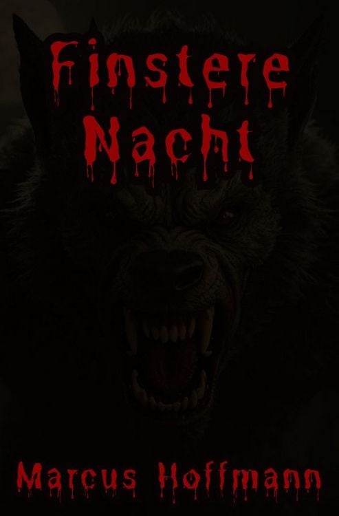 Produktbild: Finstere Nacht