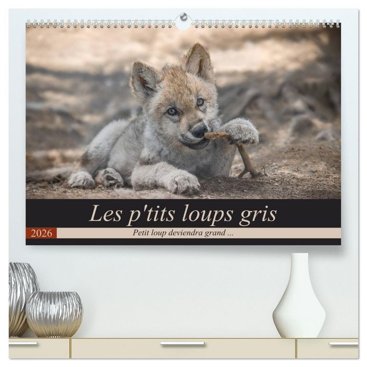 Produktbild: Les p'tits loups gris (Calendrier mural 2026 DIN A2 vertical) calendrier de bureau
