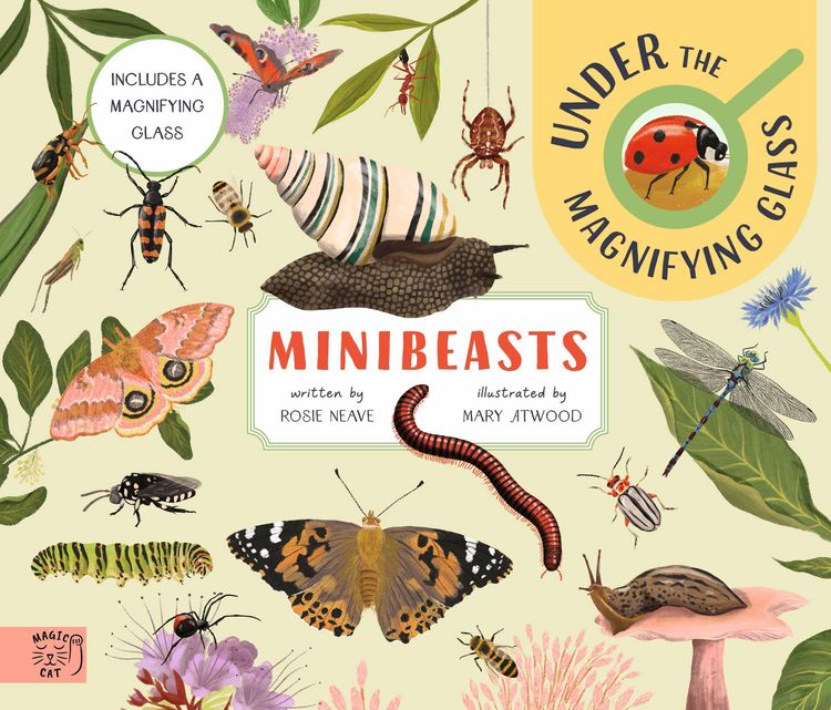 Produktbild: Minibeasts: Under the Magnifying Glass